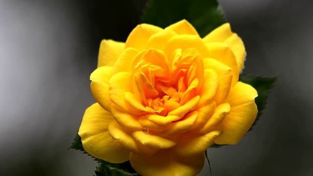 Слушать лучшую песню и видео 2015 смотреть онлайн