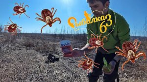 Защита от клещей, концентратом ЦИПЕРМЕТРИНА 25% и клещ больше не укусит