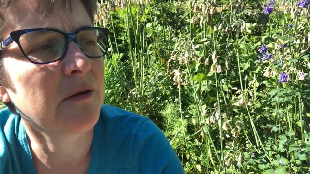 TUINCOACH: bijzondere bloembollen, ALLIUMS смотреть онлайн