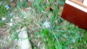 НЕОЖИДАННЫЙ УЛОВ! ПОИСК МЕТАЛЛОЛОМА НА СВАЛКЕ БЕЗ МЕТАЛЛОИСКАТЕЛЯ! ЦВЕТНОЙ МЕТАЛЛ ВОКРУГ НАС!