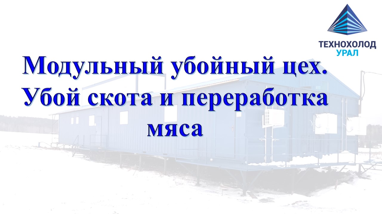 Модульный убойный цех КРС. Убой скота. Переработка мяса