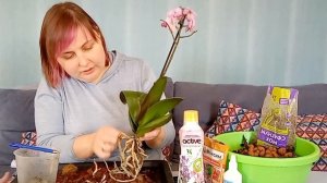 Как пересадить орхидею, после покупки в магазине.