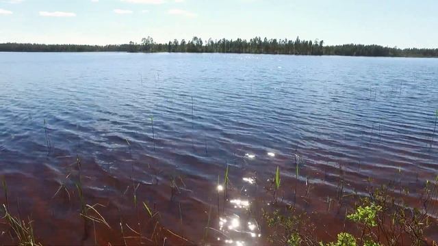 Рыбалка на окуня в Карелии на озере, бешеный клев! смотреть онлайн