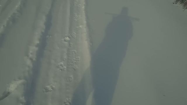 Охота на зайца 17 02 23 Такой собаки у меня ещё не было! смотреть онлайн