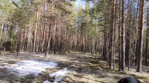 Каракат-переломка по бездорожью.