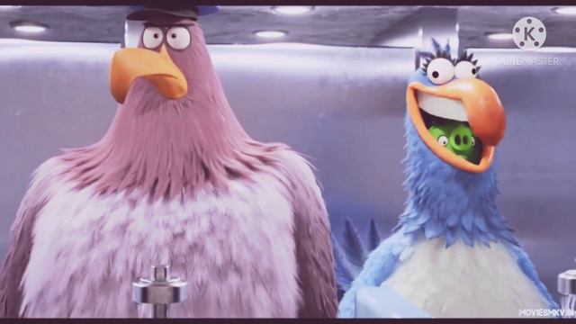 Angry birds //funny moment//card snach scene смотреть онлайн