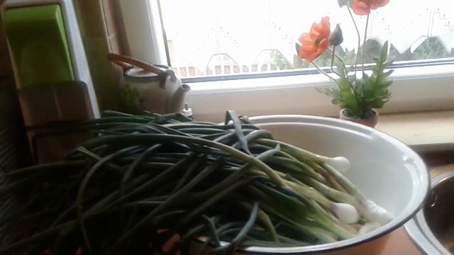 Первый урожай♡ заморозка зеленого лука на зиму♡ смотреть онлайн