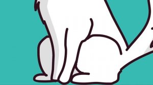 СБОРНИК ИСТОРИЙ КЛЭР - ШКОЛЬНЫЕ ИСТОРИИ, МОИ ПИТОМЦЫ,  ПРИКОЛЫ НАД УЧИТЕЛЯМИ, МОЙ МАКИЯЖ (Анимация)