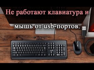 Не работают клавиатура и мышь в usb-портах на windows XP, 7.