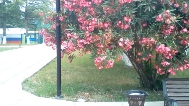 Часть 2. Пансионат Литфонд (Дом творчества им. Д. Гулиа), Пицунда, Абхазия смотреть онлайн