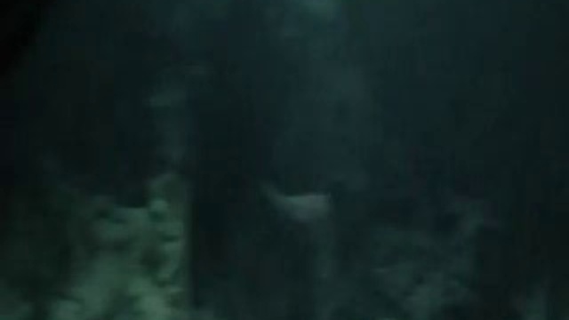 Увлекательная Иверология смотреть онлайн