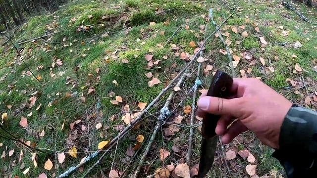 Грибалка или прогулка по лесу!!! БЕЛЫЕ и ПОДОСИНОВИКИ!!! смотреть онлайн