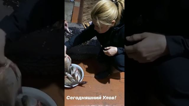 Ирина Пегова показала, как проводит время в самоизоляции смотреть онлайн
