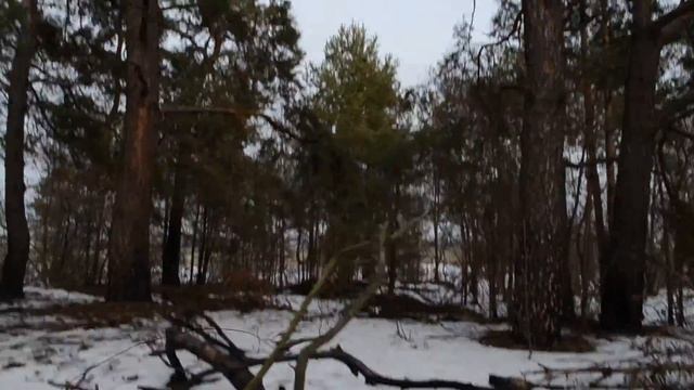 Одно из применений Рысь Mini