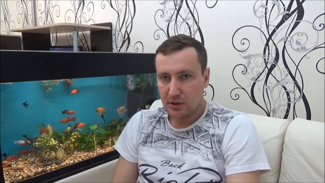 Анекдот. Vasilih выпуск №11. Муж и жена. Хоровод. Охота. смотреть онлайн