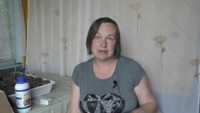 Обработка винограда от болезней. Схемы. Подходы. Препараты смотреть онлайн