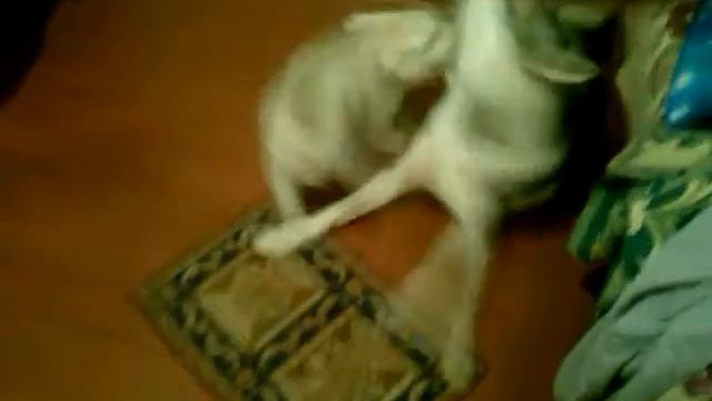 Воспитание старшего младшим смотреть онлайн