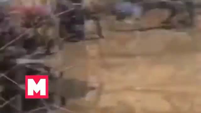 Безумно можно быть первым... смотреть онлайн