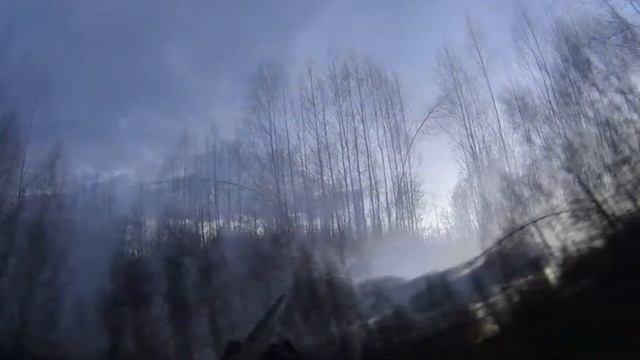 2015 22.04 Луга охота смотреть онлайн