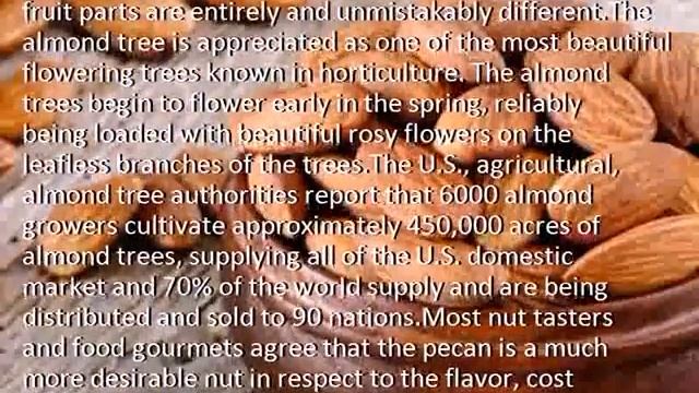 The History Of Almond Tree, 'Prunus Dulcis' смотреть онлайн
