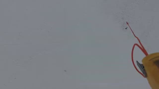 Кречет/балобан 50/50 за коптером. смотреть онлайн
