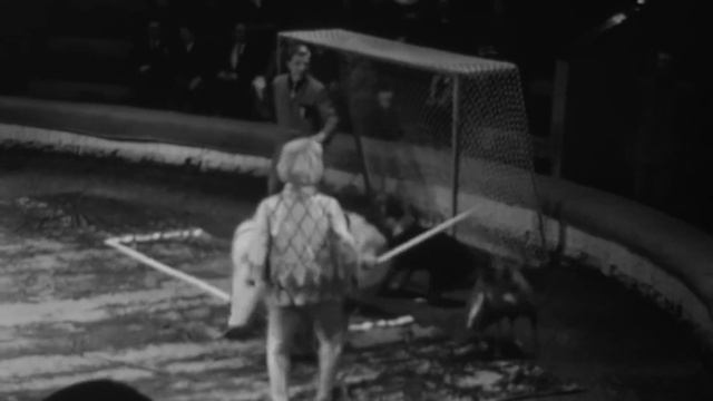 Тульский цирк, вторая половина 1960-х смотреть онлайн