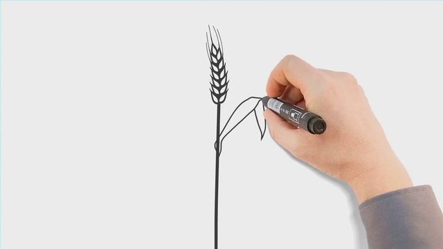 Протравители: урожай начинается с семян смотреть онлайн