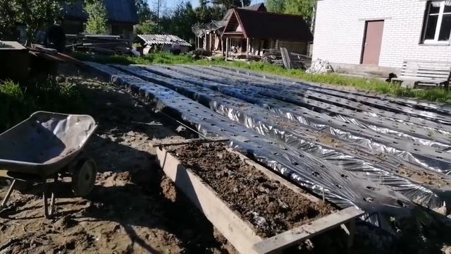 Формируем последнюю гряду под клубнику ? Сорт "Клери' смотреть онлайн