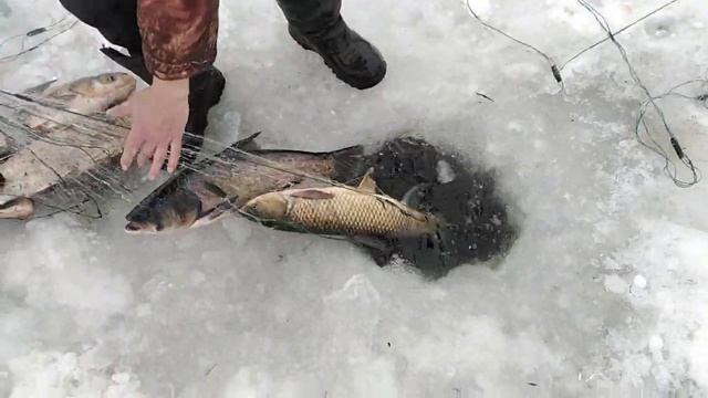 ЗИМНЯЯ РЫБАЛКА 2020 НА СЕТИ!!! ОТЛИЧНЫЙ ЛОВ)!! смотреть онлайн