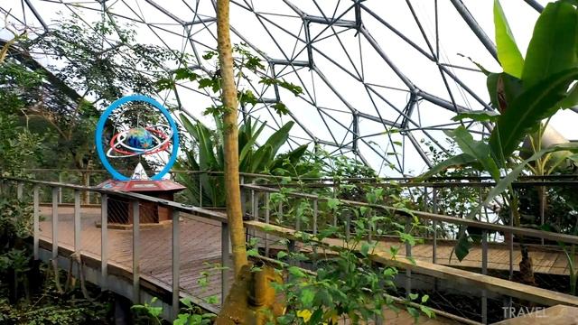 4k Walk Through Eden Project Cornwall Rainforest Biome Featuring The Seed | Relaxing DJI Osmo Pocke смотреть онлайн
