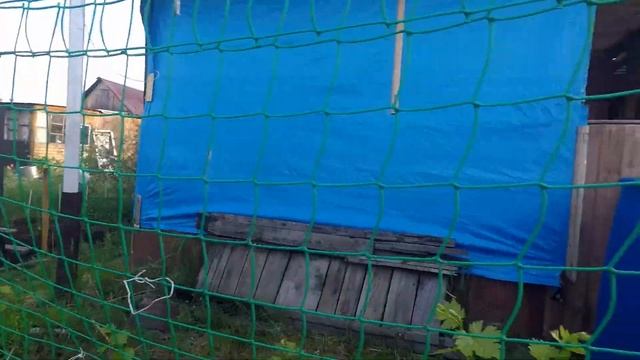 У Лены на даче смотреть онлайн