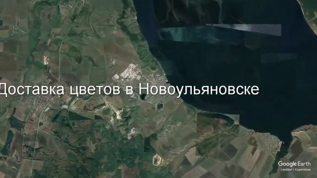 Доставка цветов в Новоульяновске - Заказ букетов от компании Скорая подарочная помощь смотреть онлайн