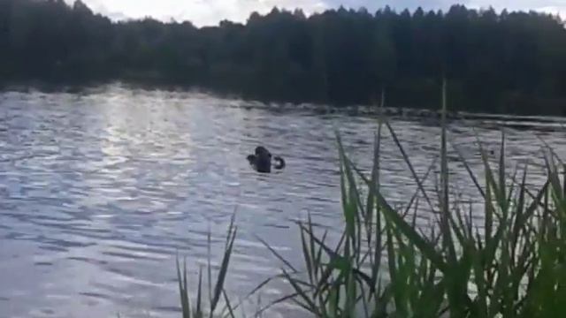 Моё первое в жизни погружение и сразу в открытой воде смотреть онлайн
