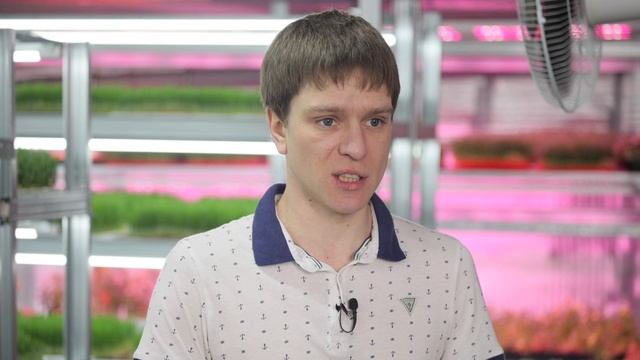 Как вырастить микрозелень дома? Выращивание горошка от А до Я. смотреть онлайн