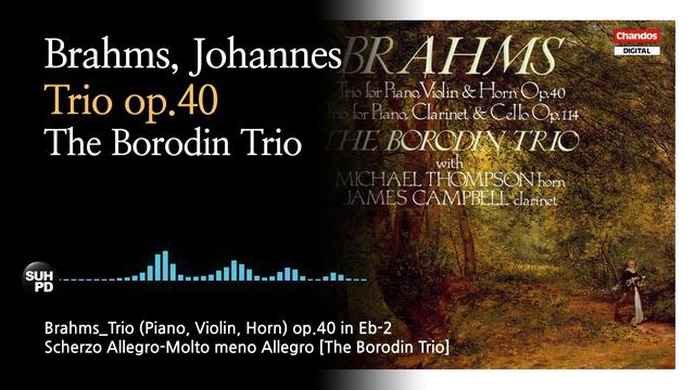 브람스 - 호른 3중주. Brahms - Trio (Piano, Violin, Horn) op.40 [The Borodin Trio] смотреть онлайн