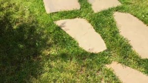 Садовые ножницы Makita DUM604ZX