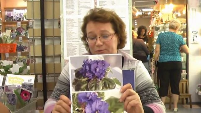 ДФ. Сенполии: селекция Татьяны Вальковой.