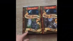 Обновлённый обзор книг Коты - воители