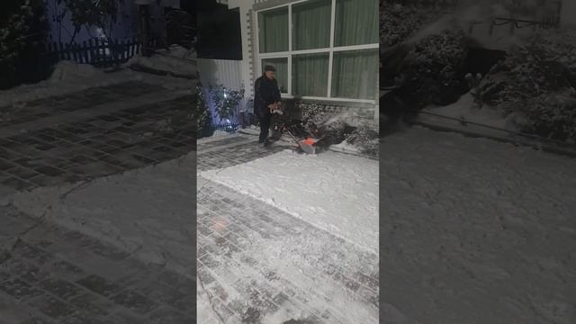 Снегоуборщик электрический DAEWOO DAST 2600 E смотреть онлайн