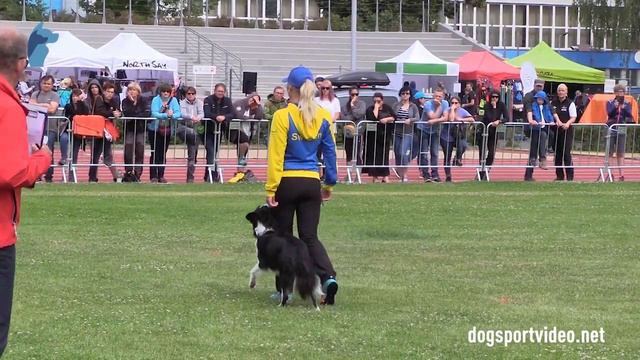 Finals - Sarah Karlsson + My Nr One Exxi / Border Collie - Sweden смотреть онлайн