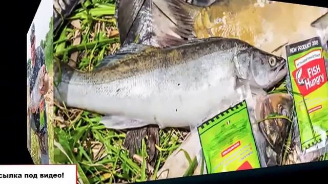 Много рыбы с активатором клева fishhungry. смотреть онлайн
