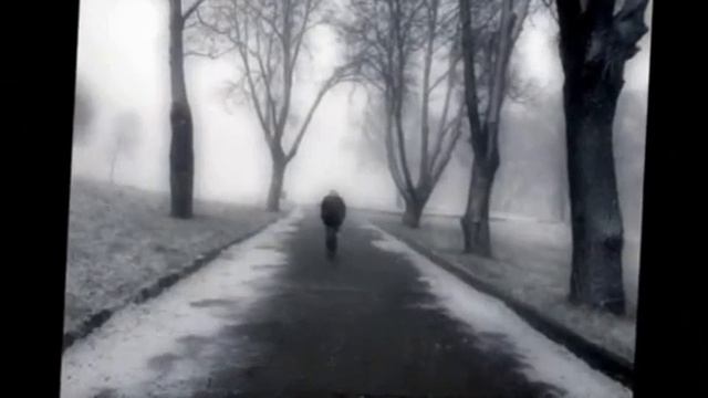 Это моя потеря..., Стихи Михаил Шурганов, муз. и исп. Самуила Фрумовича смотреть онлайн