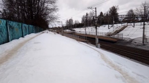 Звуки гудка Сапсана. Сапсан Санкт-Петербург-Москва 115-120 км/ч