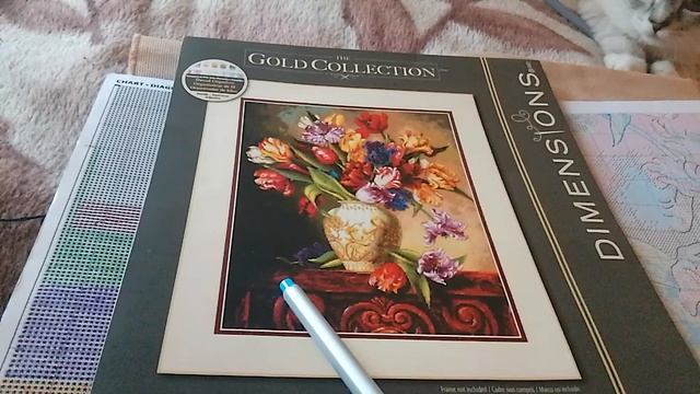 Отшив проекта DIMENSIONS " Попугайские тюльпаны" отчет 13 смотреть онлайн