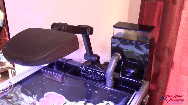 AquaC Protein Skimmers Why Aren’t They A Thing Anymore смотреть онлайн