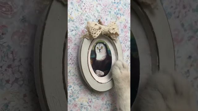 VID-20231210-WA0001.mp4 смотреть онлайн