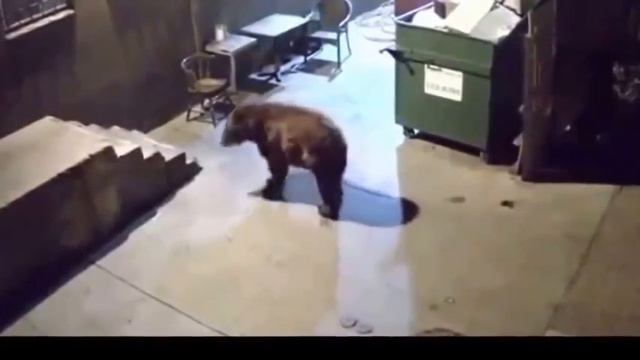 #Лучшие Приколы и Смешные Видео 2015 Приколы 2015 Смешное Видео Ржач смотреть онлайн