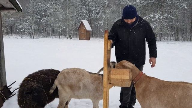 Теперь на хуторе муж готовит жене . Поездка на соседний хутор . Распаковка подарка из Татарстана смотреть онлайн
