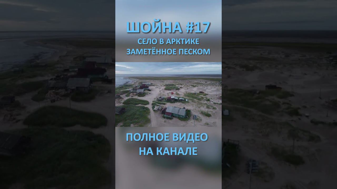 ШОЙНА SHOYNA 17 SHORTS #SHORTS смотреть онлайн