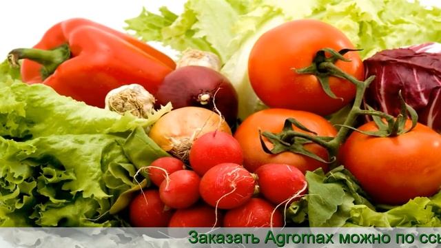 Агромакс Официальный Сайт смотреть онлайн